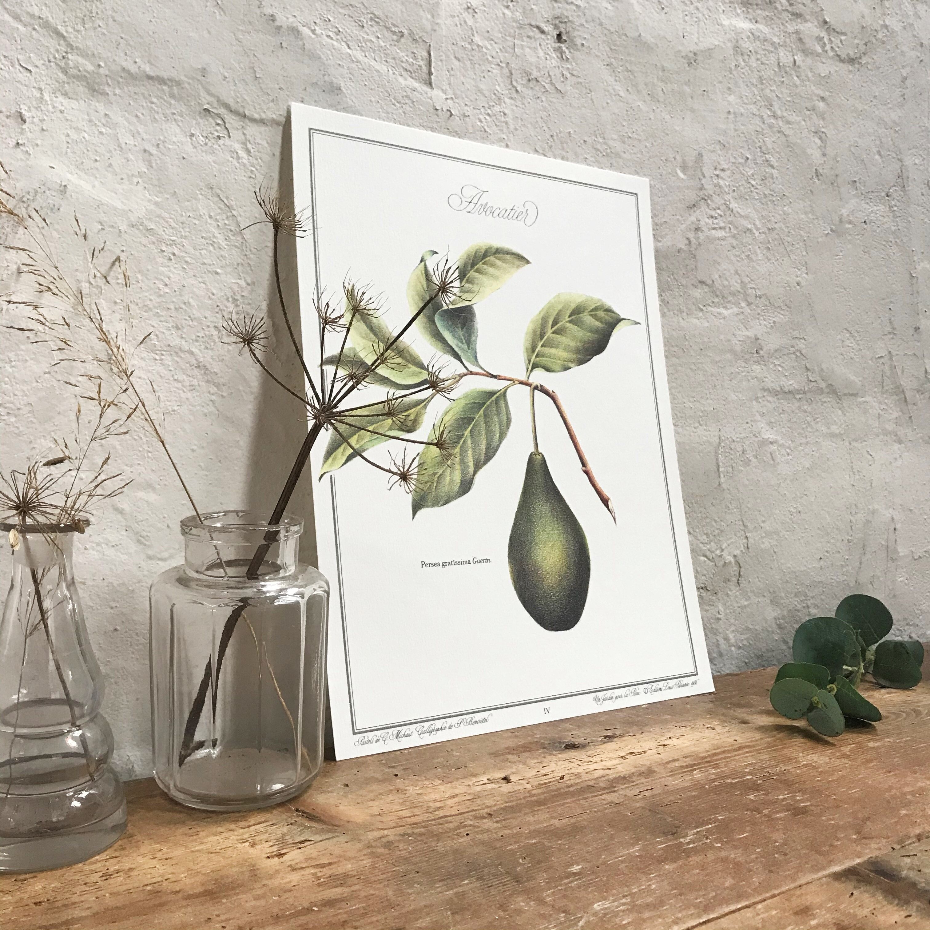 Botanical plank the avocado maker