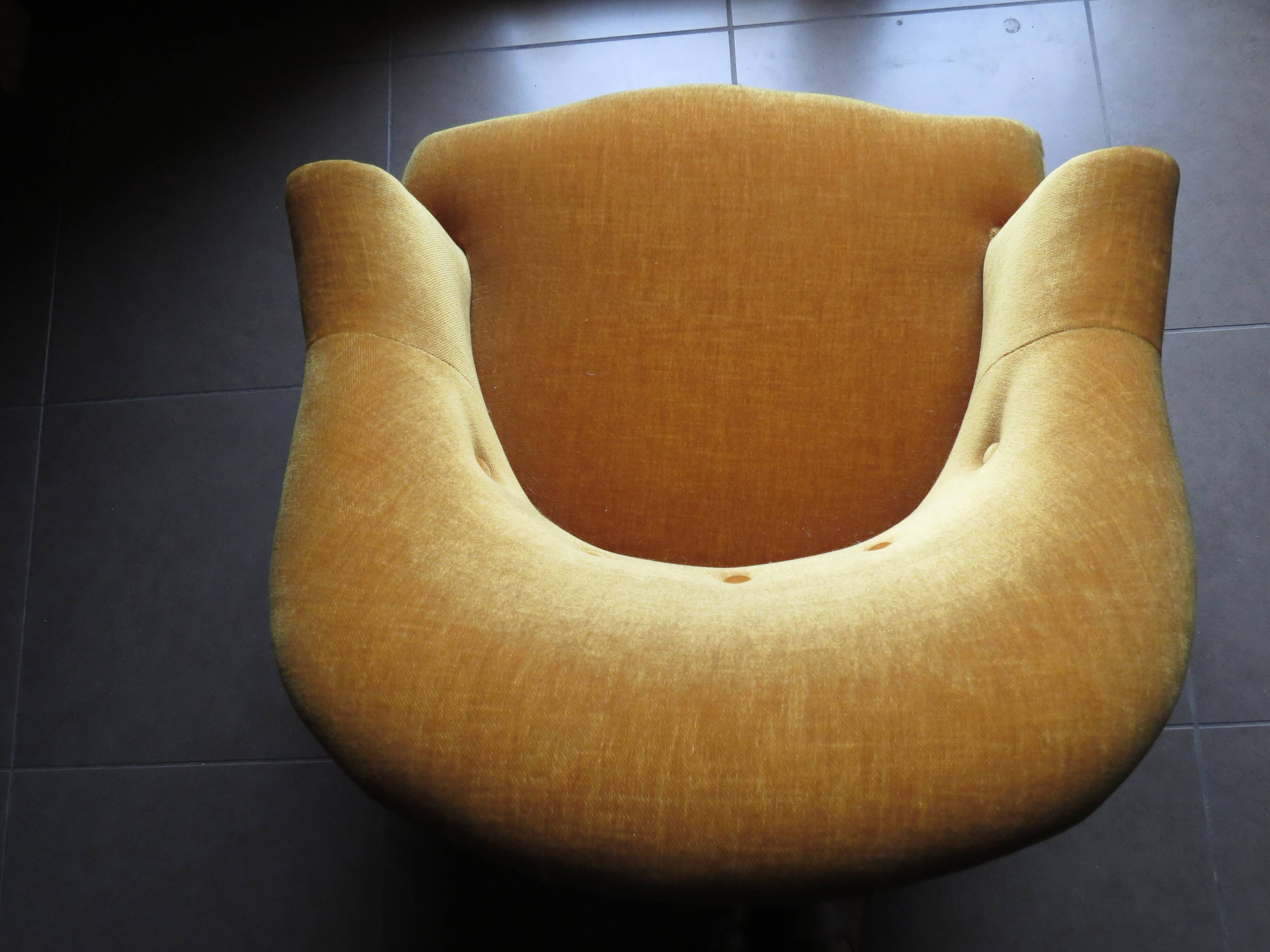 Velvet toad armchair