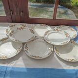 8 flat plates Denise