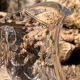 Pichet en cristal taillé