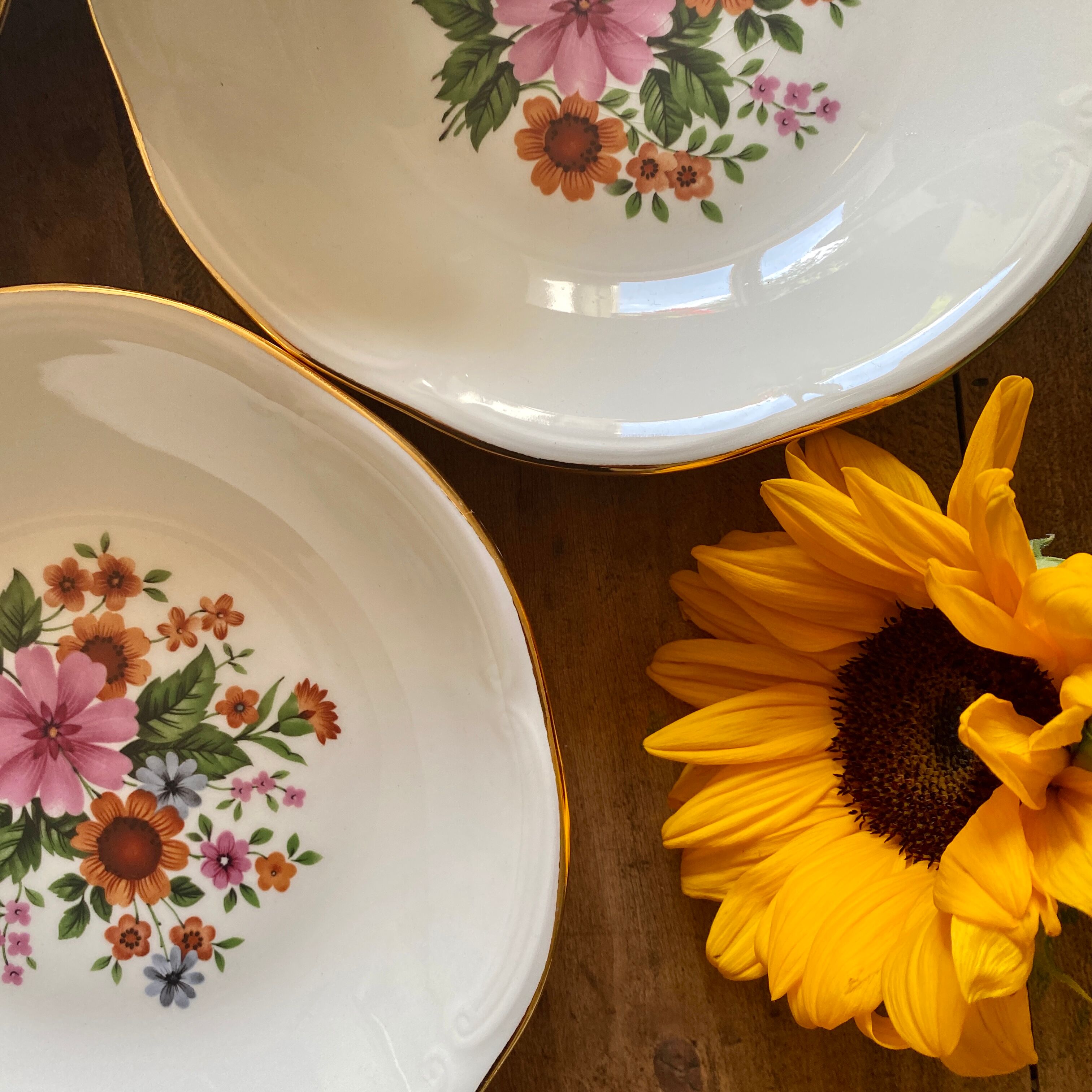Batch of vintage Hollow Plates Gien
