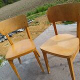 Thonet chairs 1950/1960