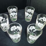 Set of 6 glass tea glasses screen-printed decoration