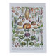 Botanical treasure of the 1930s: illustrated plate of forgotten vegetables.