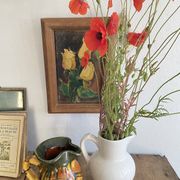 Enamelled earthenware pitcher, Danish style