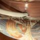 Lamp base Lancel Paris vintage - made in Italy - shell decor
