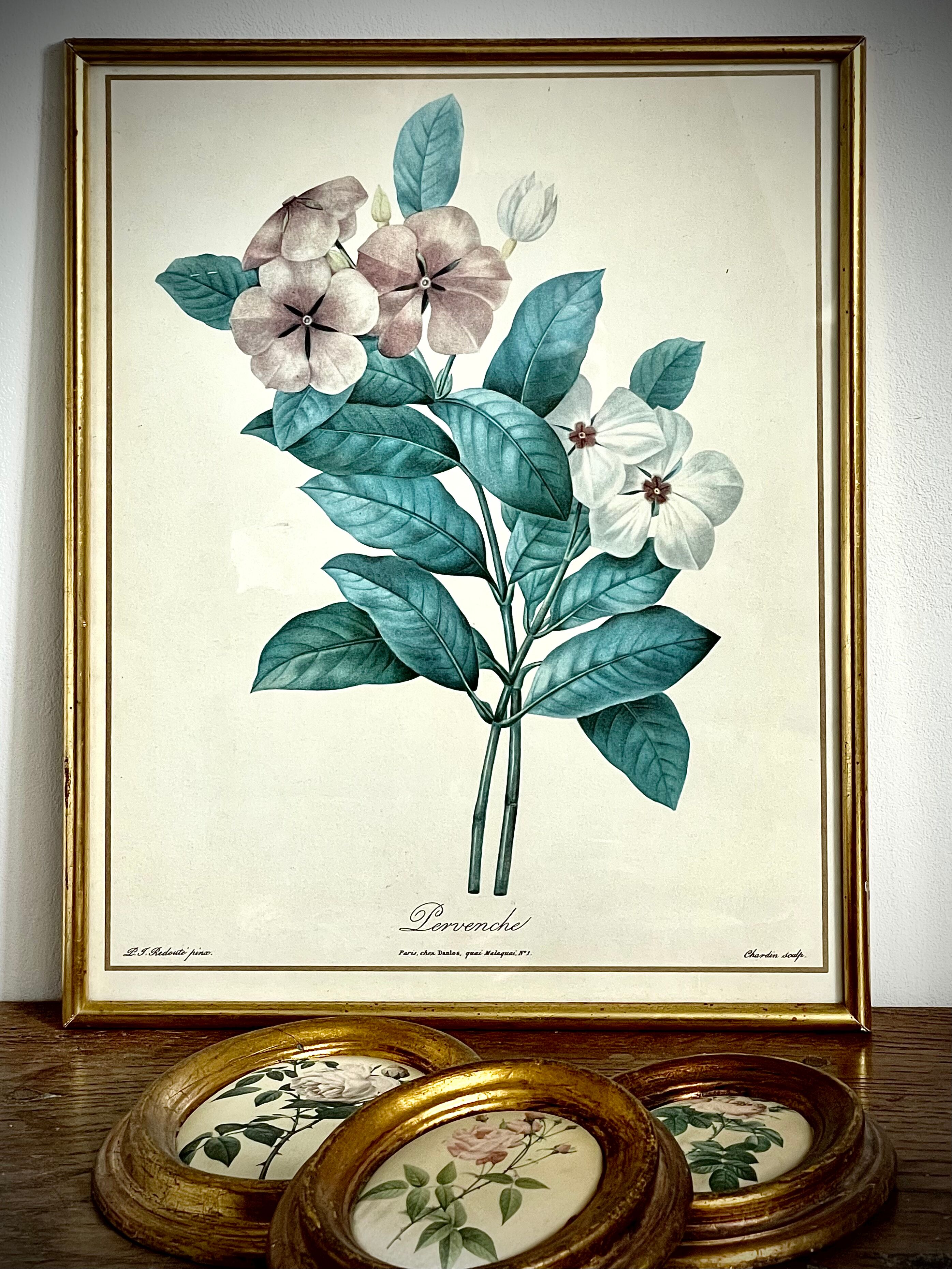 Set of two reproductions of Redouté framed in gilded wood.
