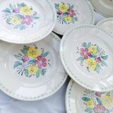 12 old flat plates
