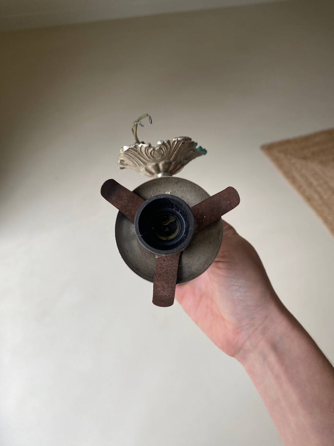 Fishhead globe wall lamp