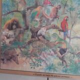 Wooden puzzle. Comet. Pattern jungle animals.