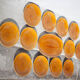 Fish service, Longchamp France porcelain service, 12 fish plates and 1 serving dish
