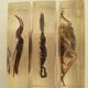 Batch of 3 insects in resin inclusion