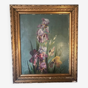Bouquet of iris