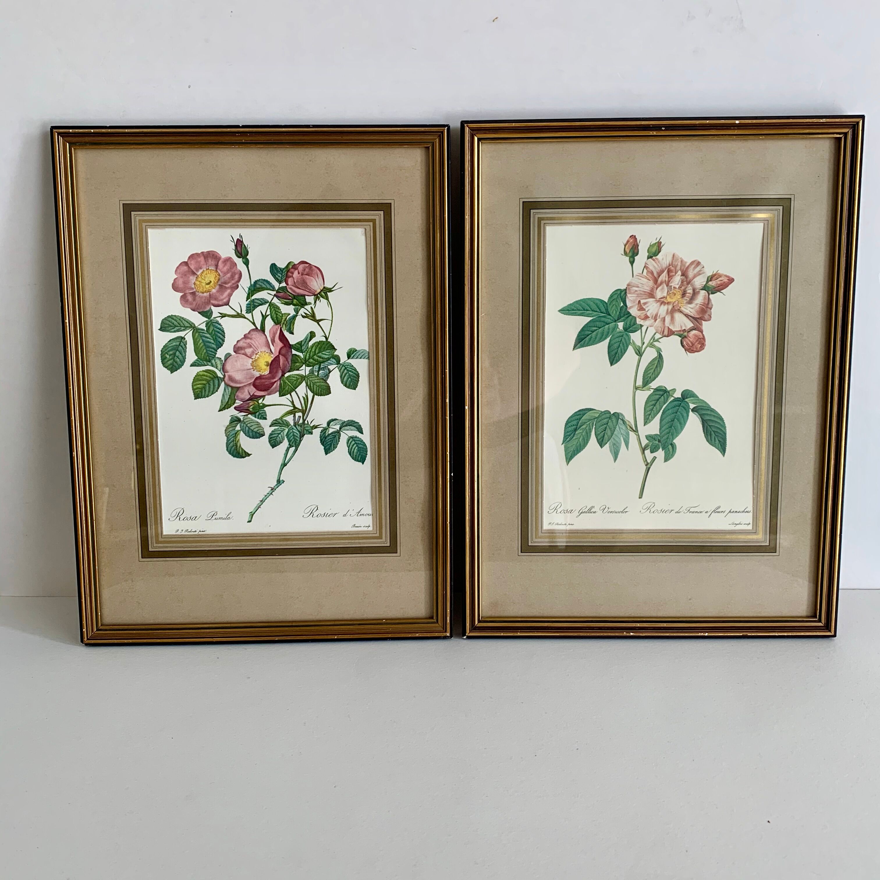 Pair of botanical graphics, 1970
