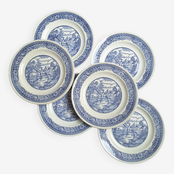 Vintage blue dinner plates