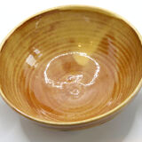 Handmade bowl made in yellow France with abstract foliage