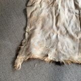 Goat skin