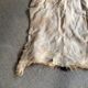 Goat skin
