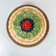 "Fruit tart" slipware dish