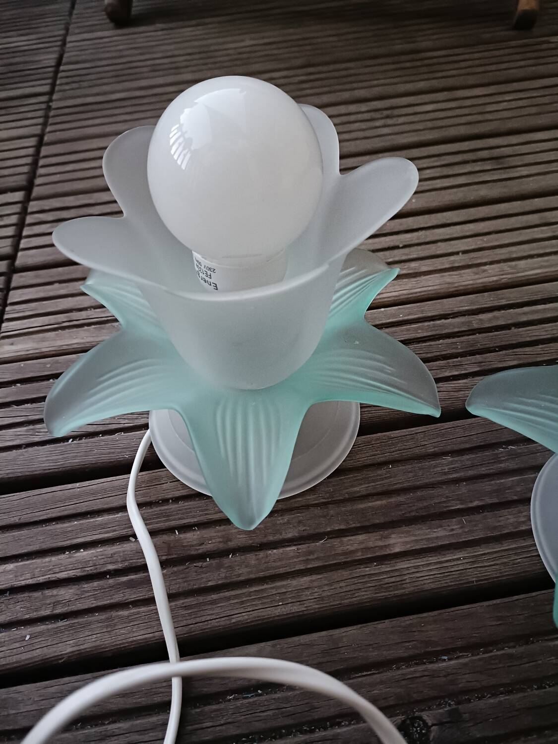 Pair of vintage flower lamps