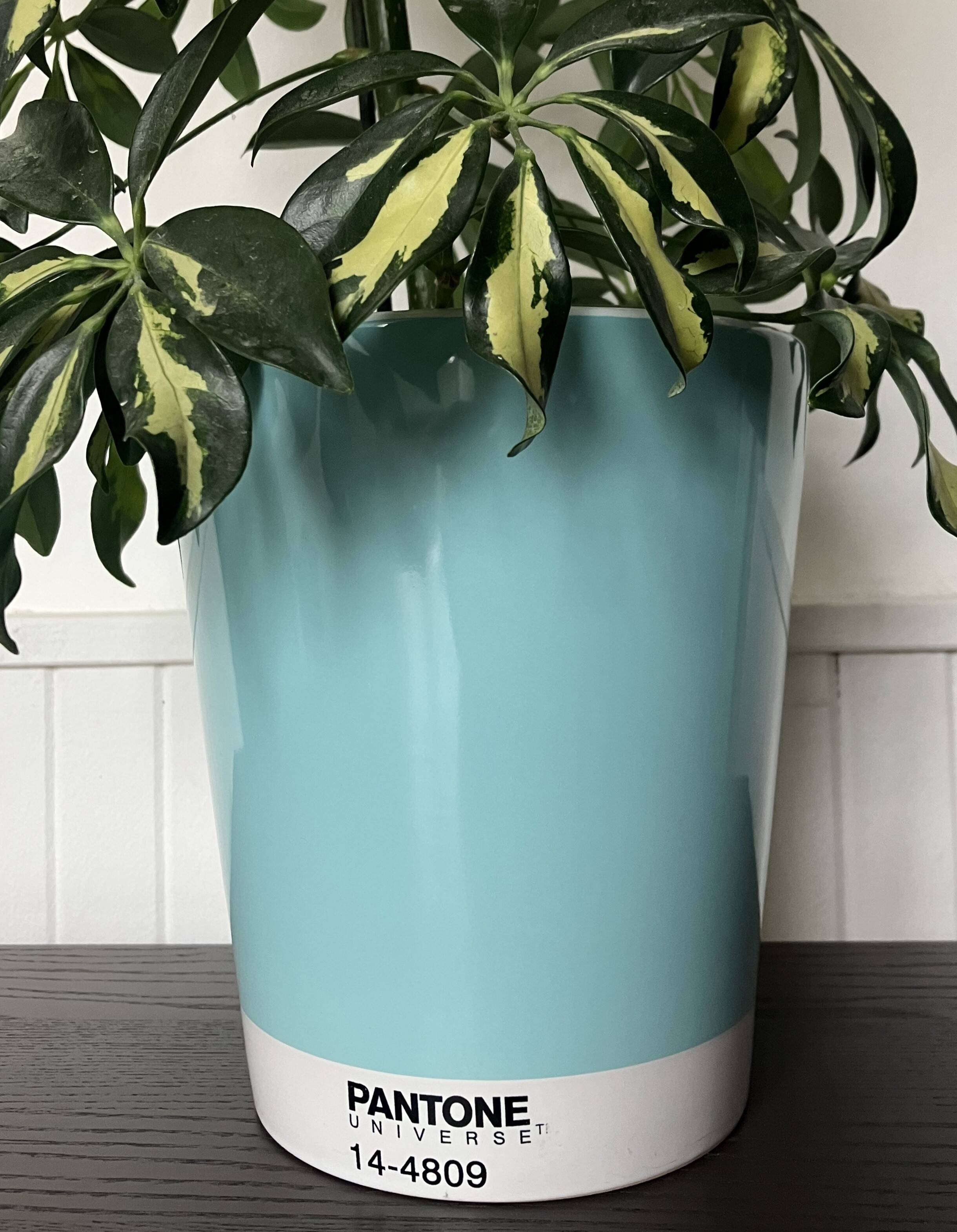 Cache pot Pantone Universe x Serax turquoise