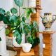 Scandinavian teak plant column, 1970