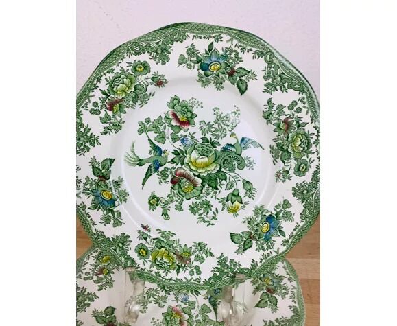 6 flat plates wedgwood oriental pheasants green