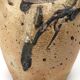 Traditional wabi-sabi stoneware ceramic jar with handles, 1900