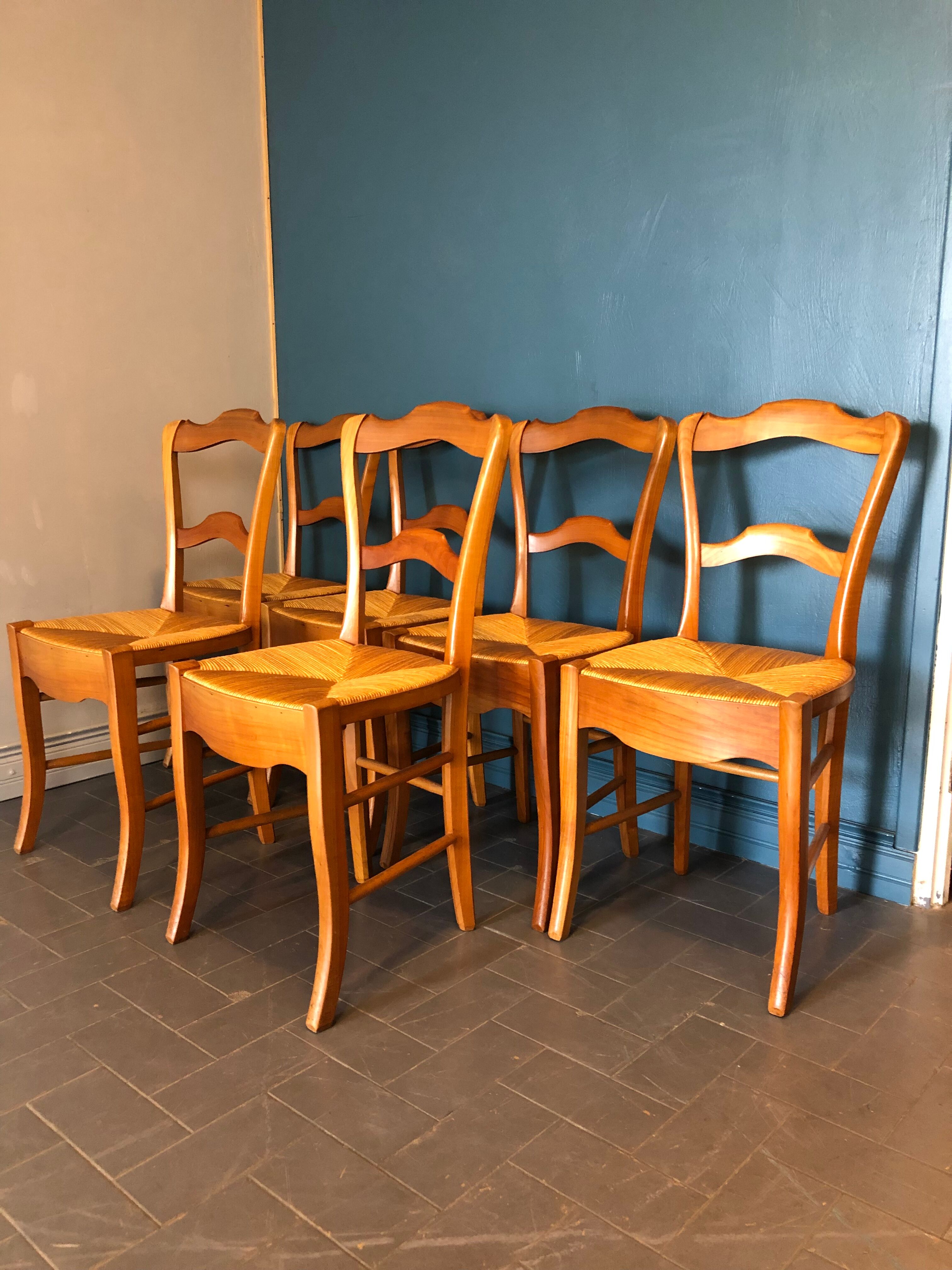 6 old chairs in cherry tree