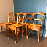 6 old chairs in cherry tree