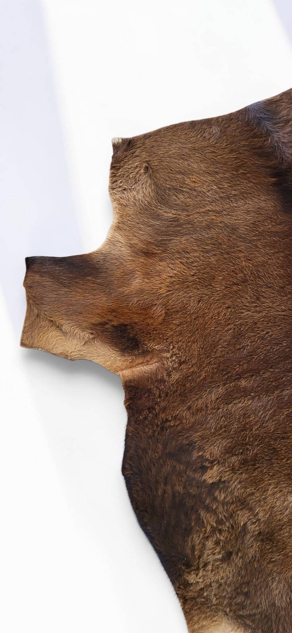 Cowhide / calfskin