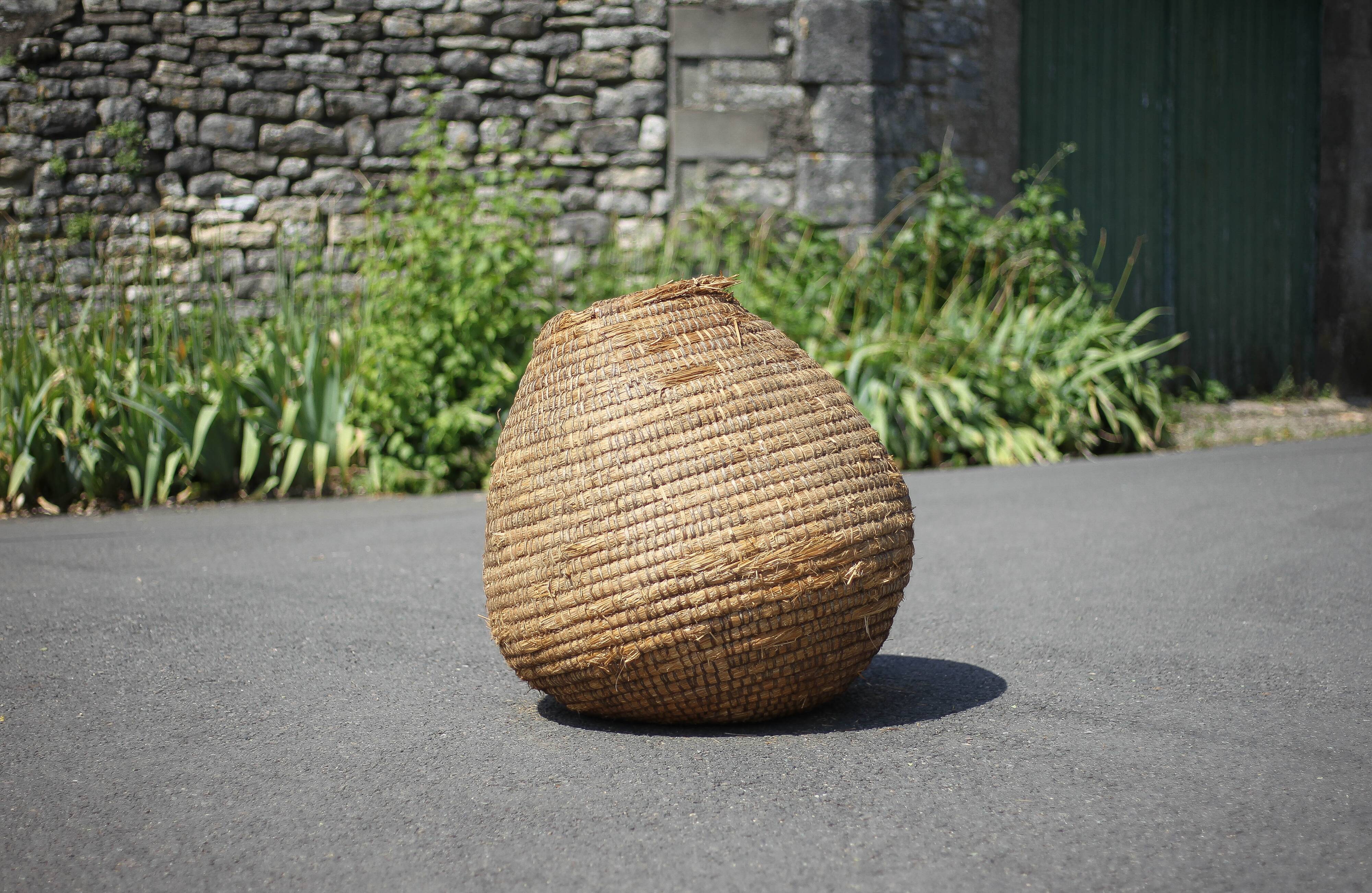 Old basket, burgundy straw and bramble, woven basket, interior decoration