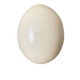 Ostrich egg curiosity cabinet