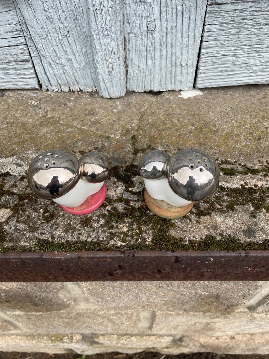 Antique porcelain salt and pepper shaker with mushrooms