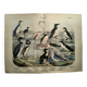 Engraving from 1886. Seabirds. Antique lithograph.