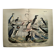 Engraving from 1886. Seabirds. Antique lithograph.