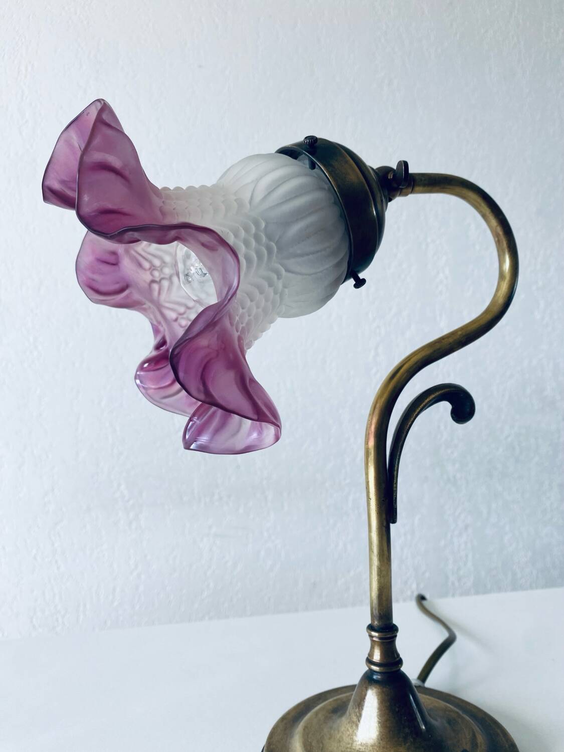 Paire de lampe col de cygne