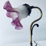 Paire de lampe col de cygne