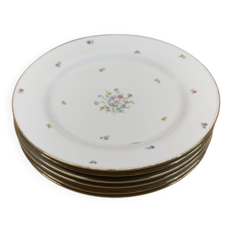 6 vintage flowered porcelain plates