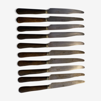 Lot de 10 couteaux de ménagére en acier garanti er manche bois
