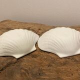 Empty shell pocket