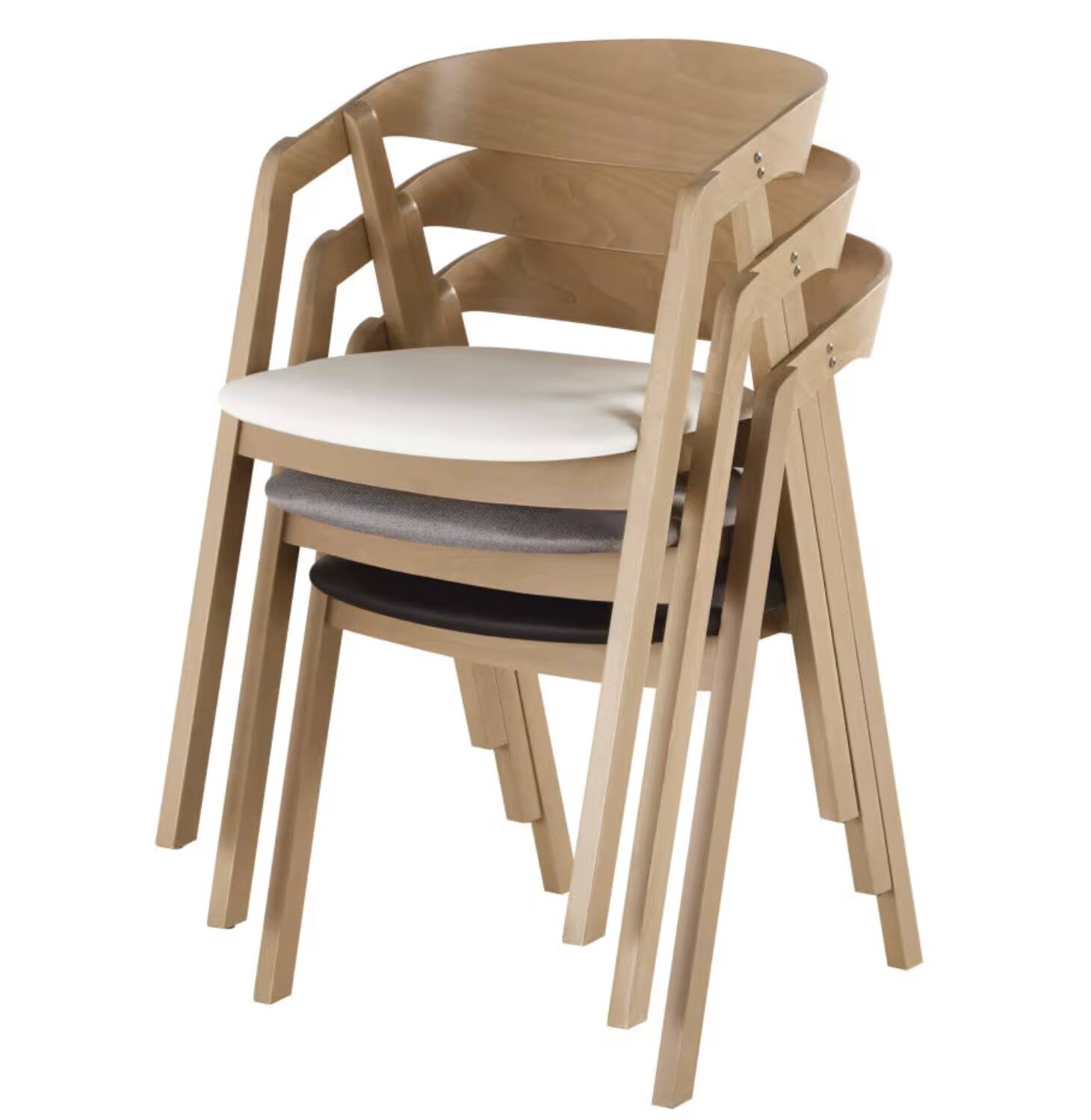 Professional chairs in beech and coated white textile