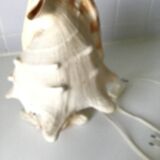 Vintage shell bedside lamp