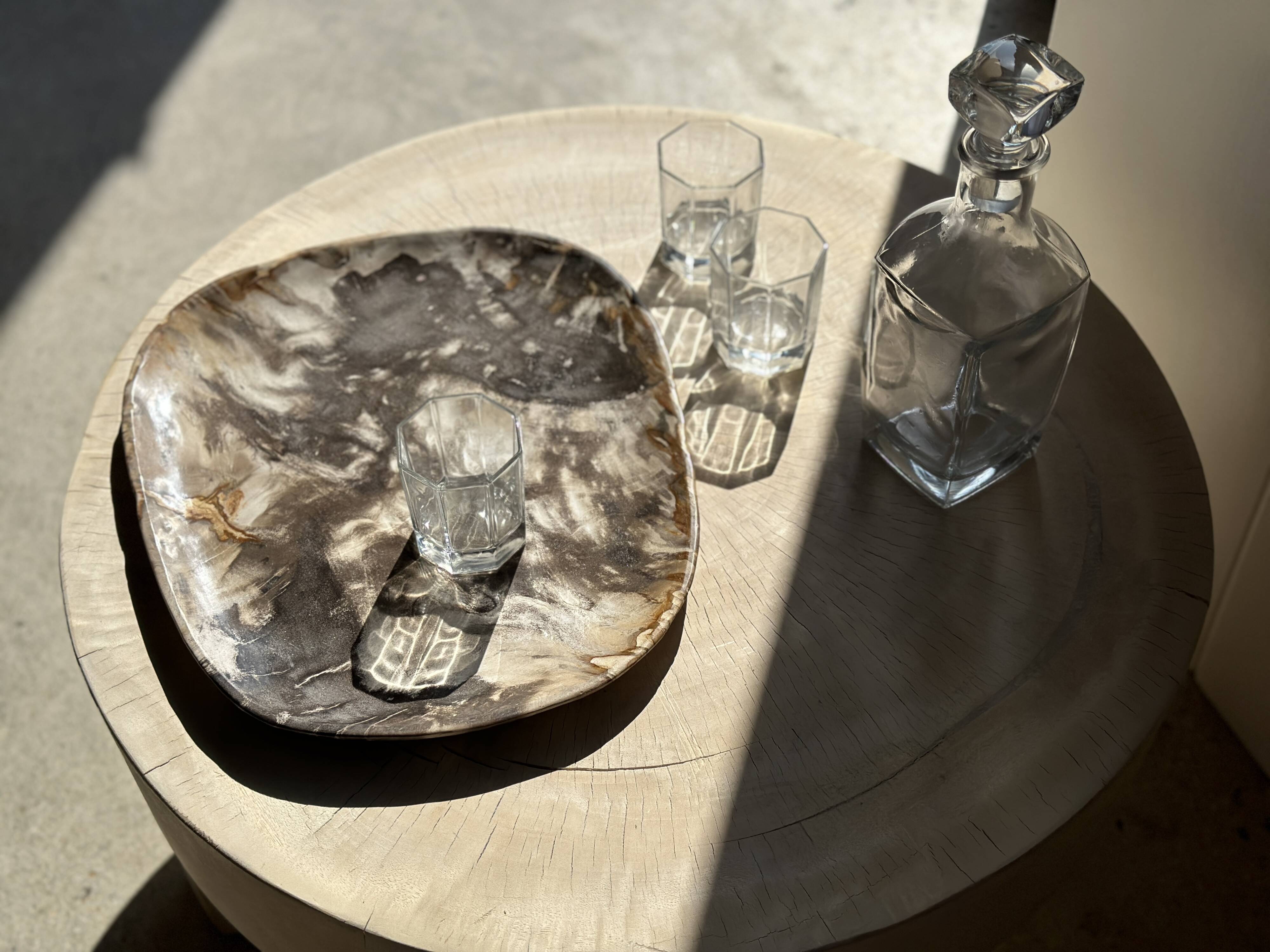 Very large pocket or dish in petrified wood