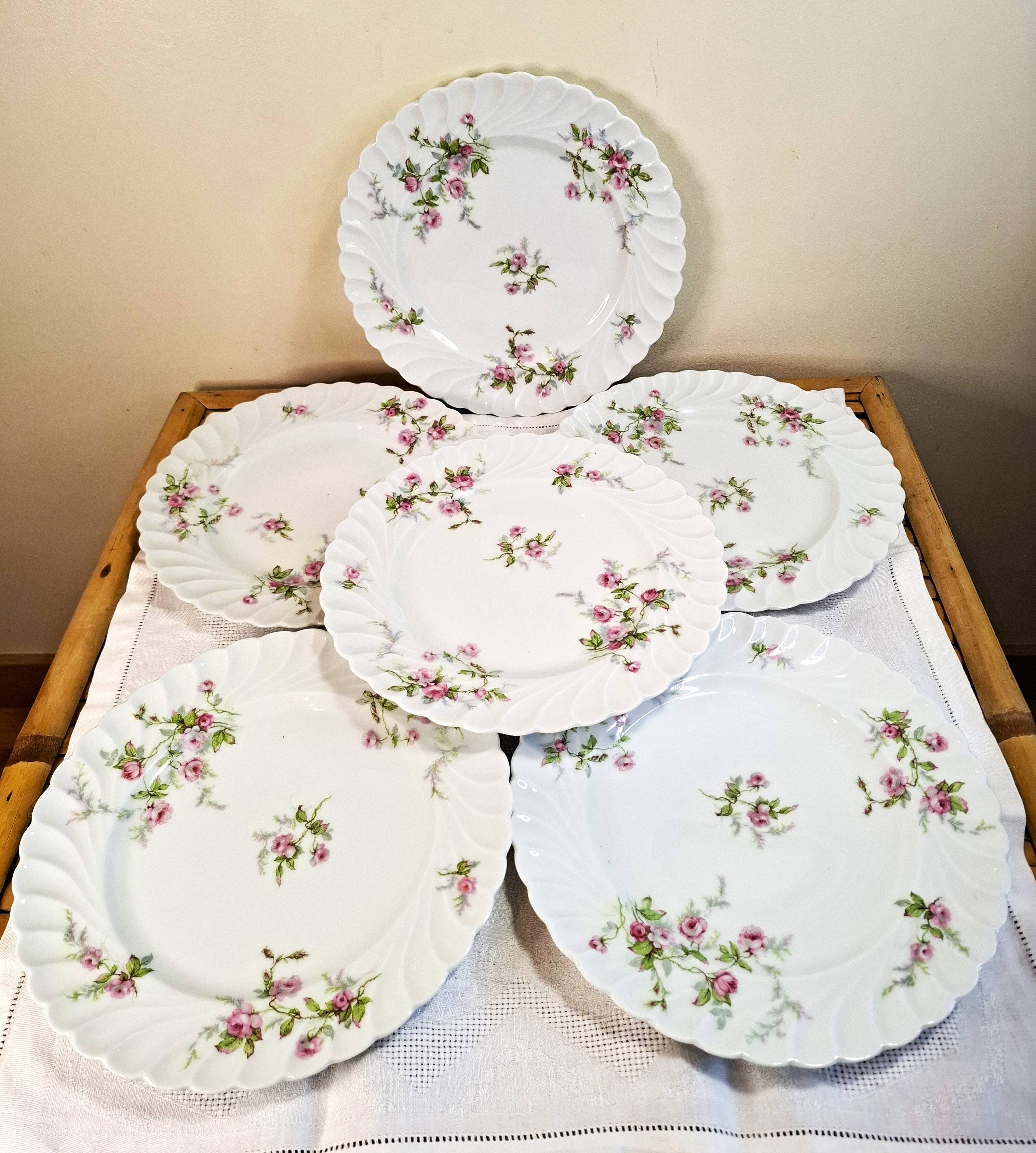 Flat plates in Limoges porcelain by Haviland