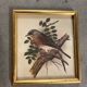 Bird paintings