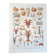 Old naturalist plate "Crustaceans" – 1930 – Larousse