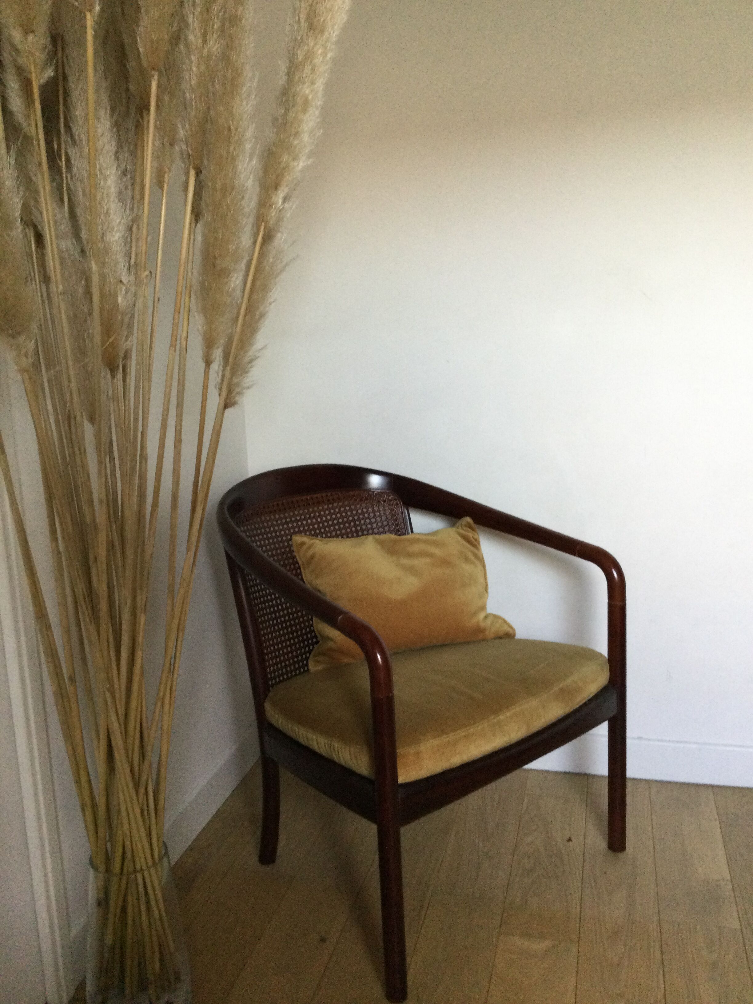 Canna chair