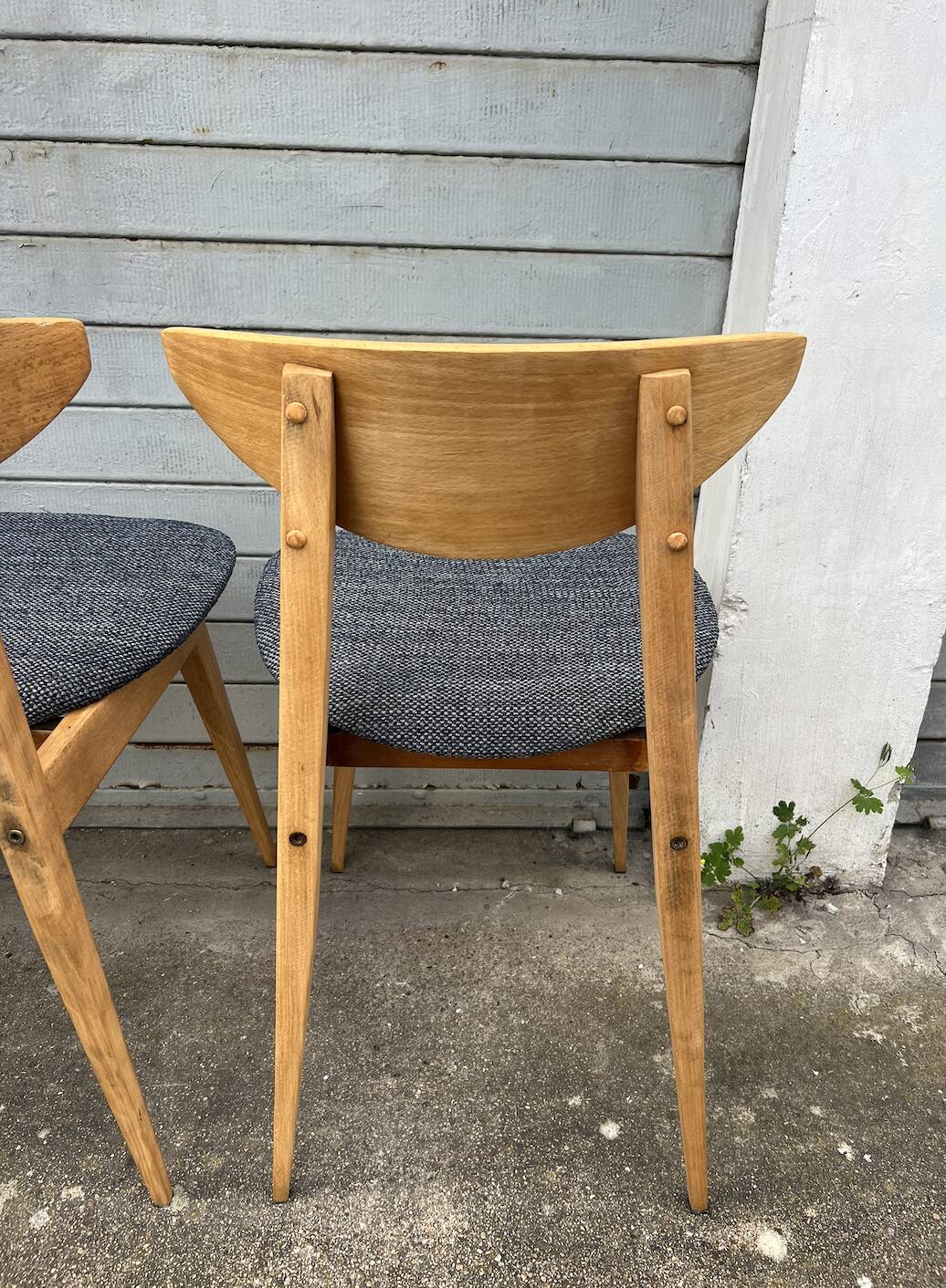 (Lot) 4 Baumann Fontania chairs 1960 (Fully restored)