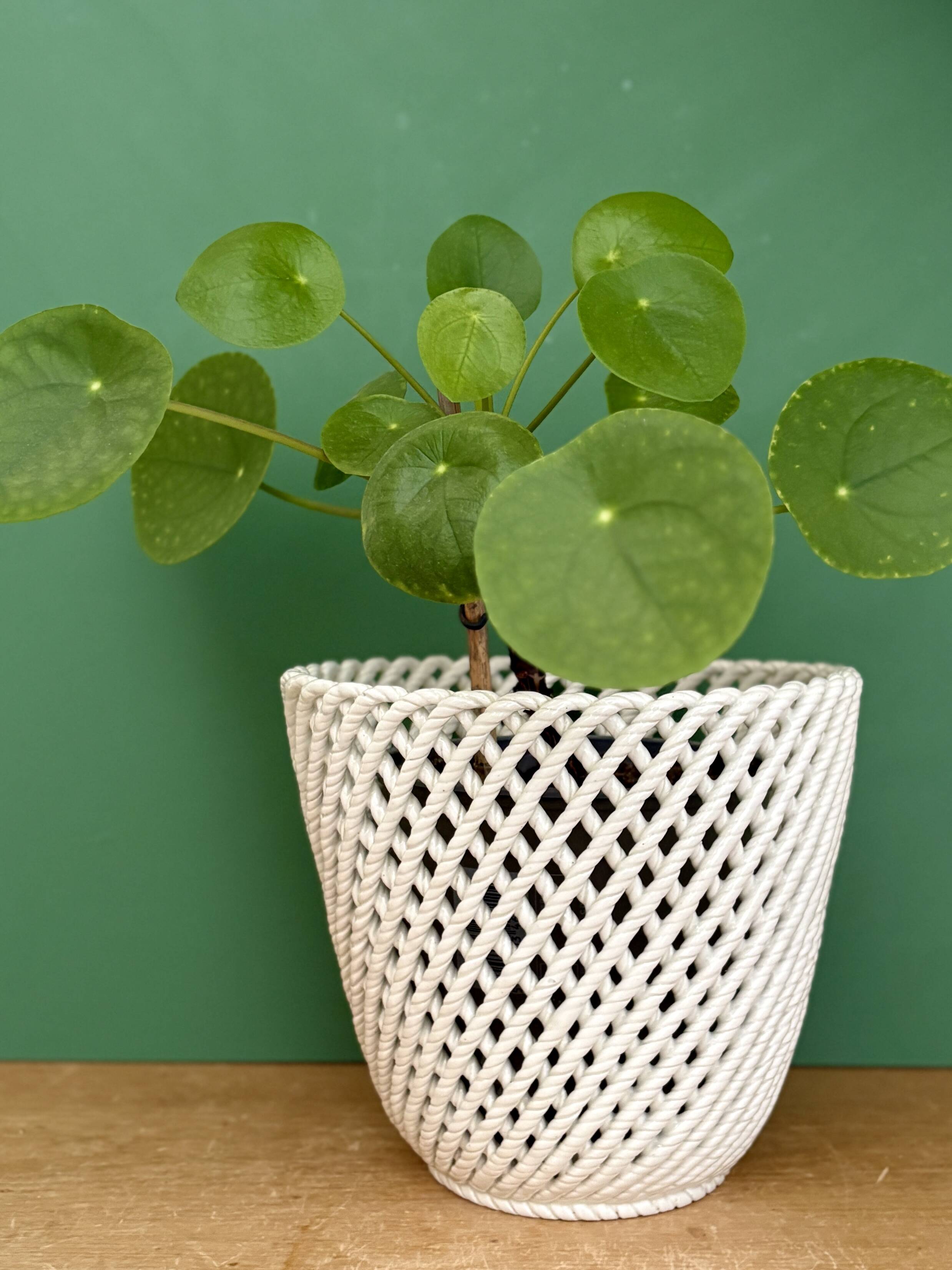 Vintage woven ceramic plant pot